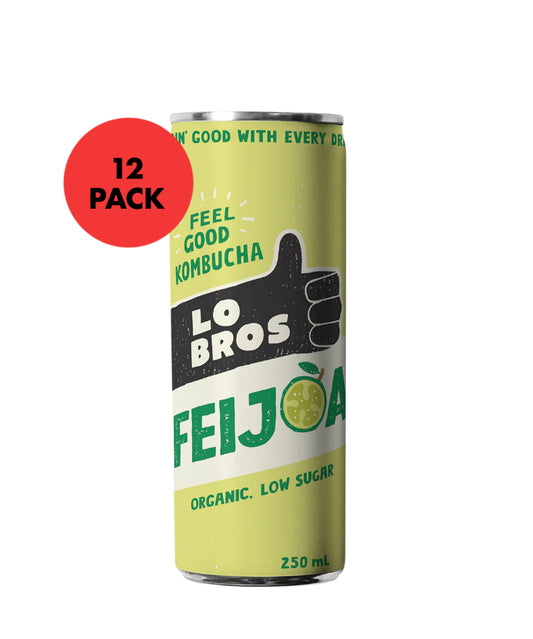Lo bros kombucha feijoa 12 x 250ml